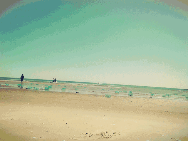 蟹貝灣景區(qū).gif